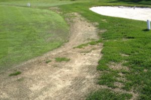 Six golf club members of the Rye Golf Club have filed a notice of intent to sue after the club’s refusal to reimburse membership dues relating to last summer’s tumultuous season. File photo