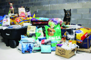 Seg and LeeLee, two dogs from the Harrison-based Pet Rescue, pose with the donations collected that were driven down to Texas to help in the aftermath of the hurricane.