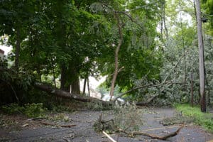 Con Ed under fire for failed storm response