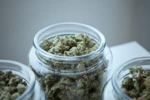 DA Rocah dismisses all marijuana possession cases