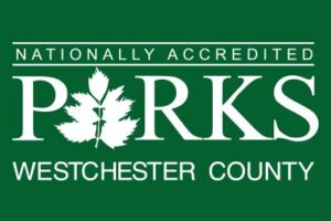 Call to make Westchester Parks group picnic reservations